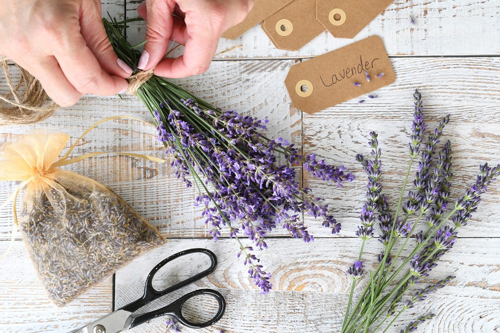 potpourri