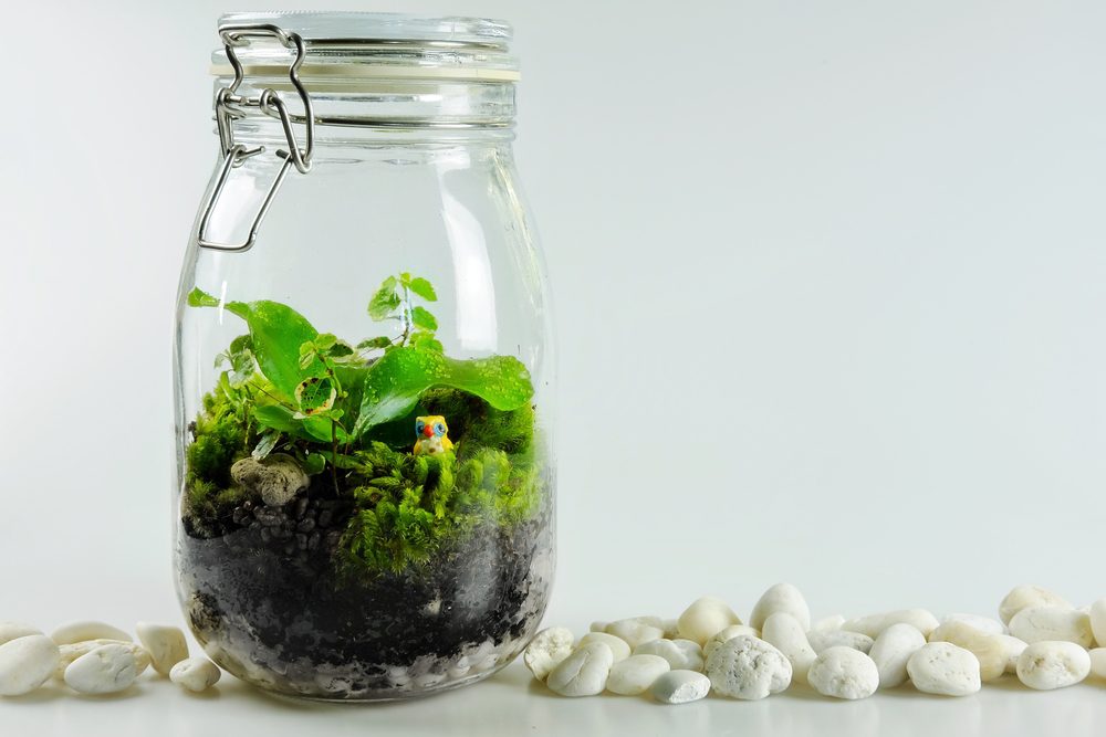 jars