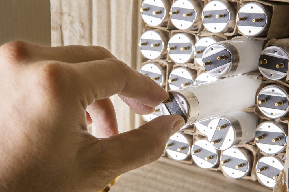 light bulbs