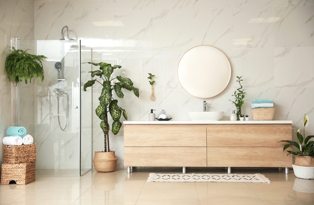 bathroom plants