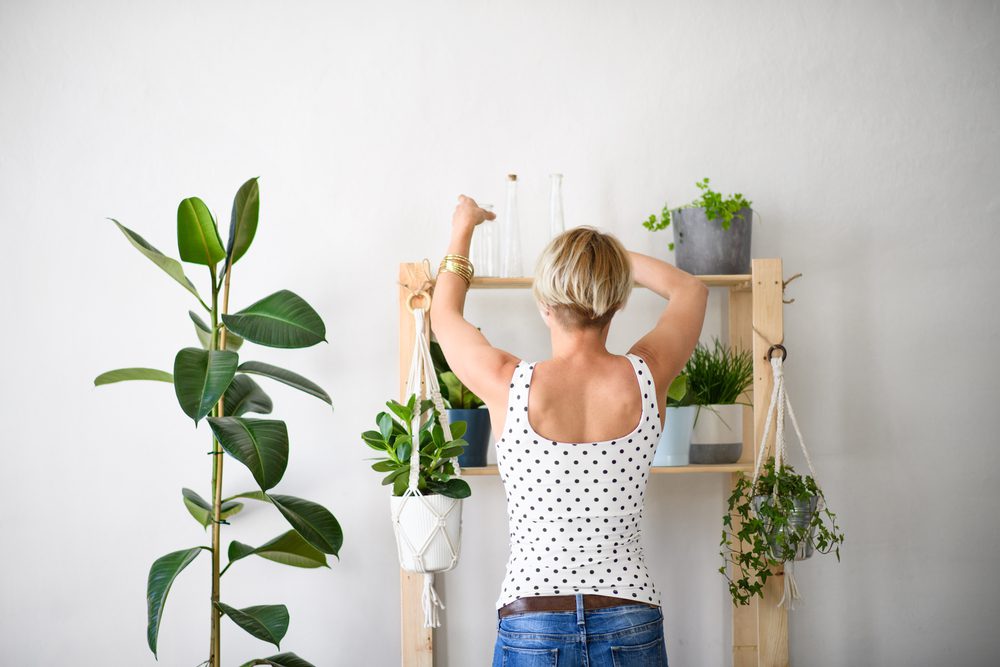 plants, hang, decorating