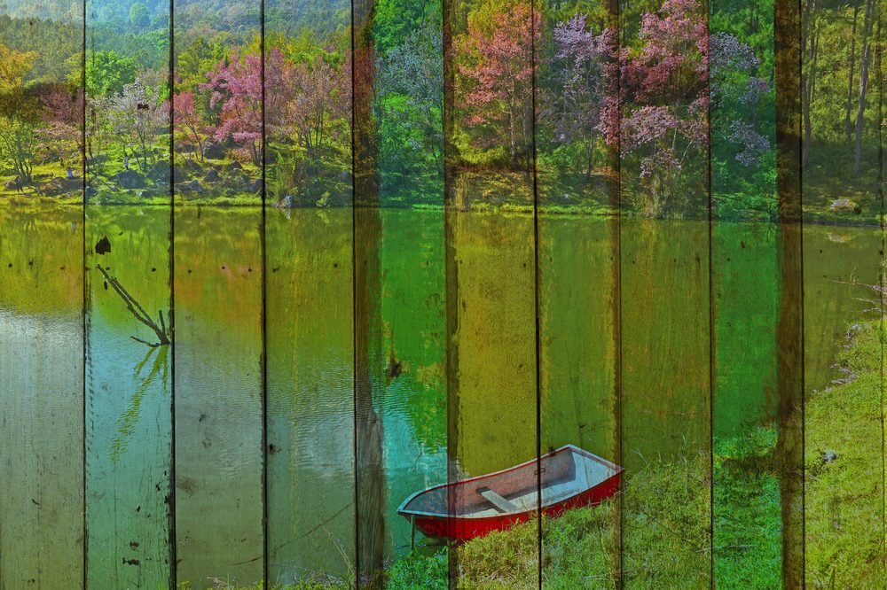 fence