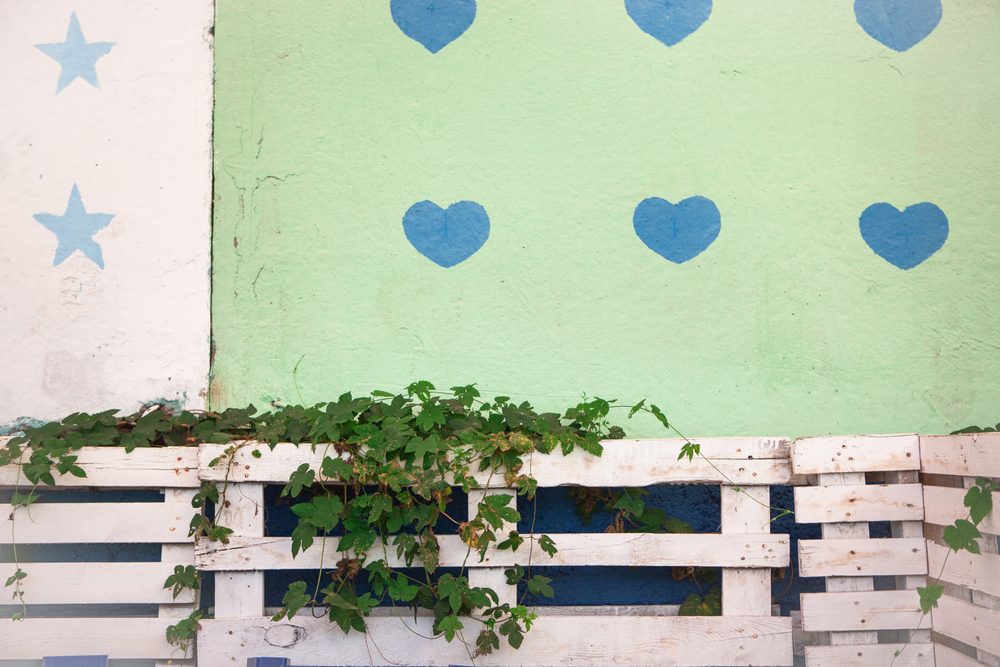 fence