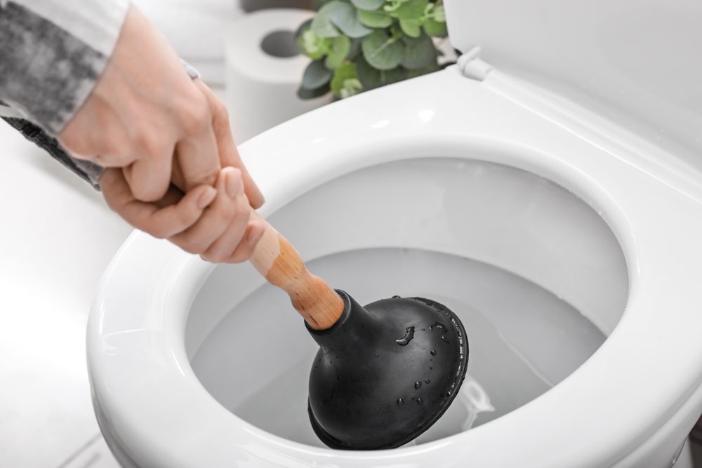 unclog toilet