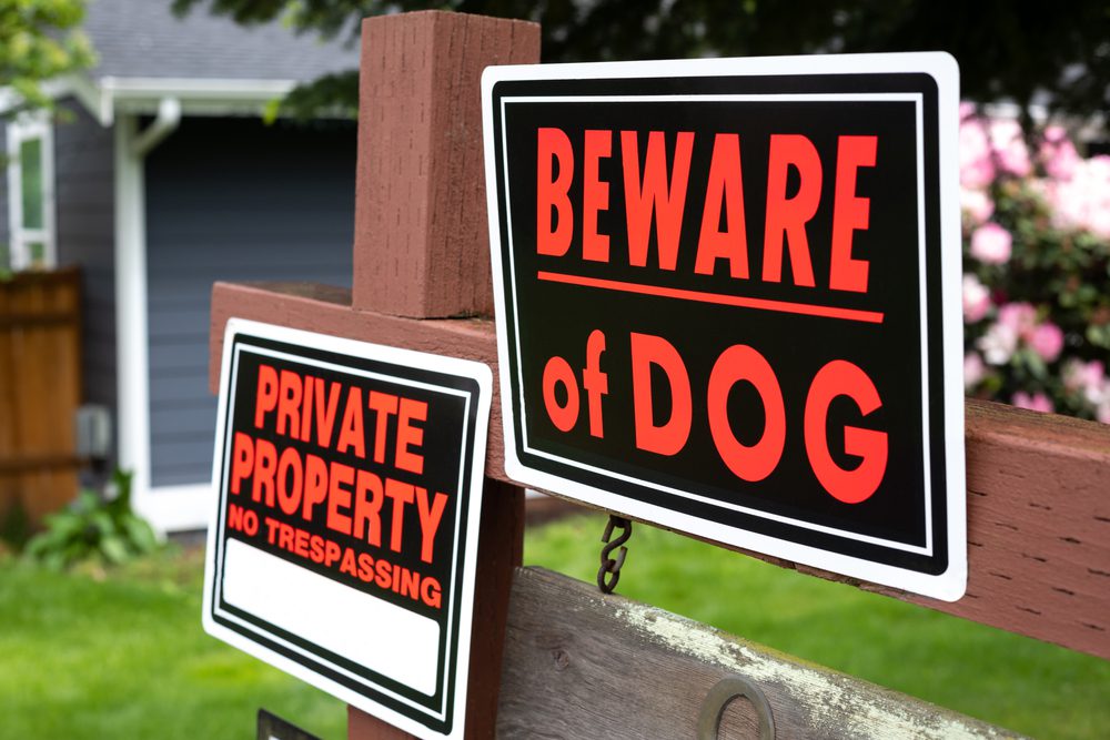 beware of dog