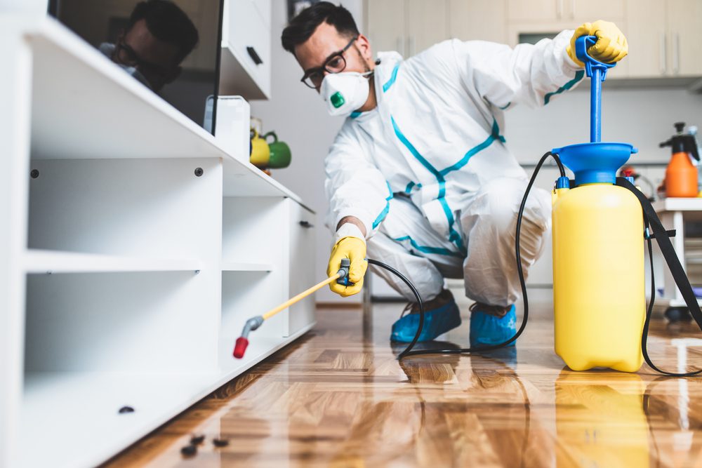pest control