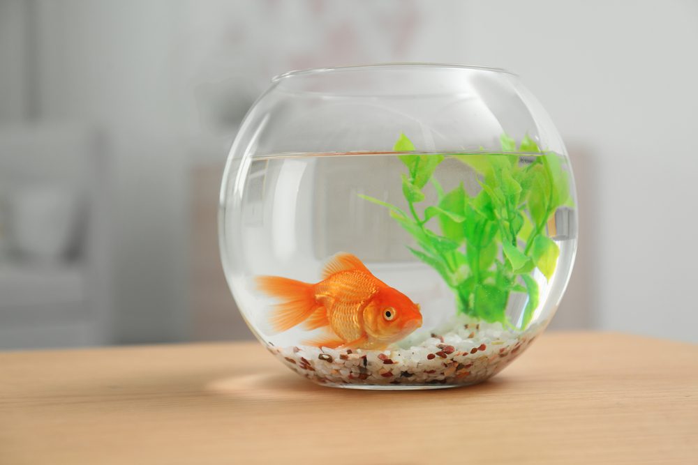 DIY humidity ideas