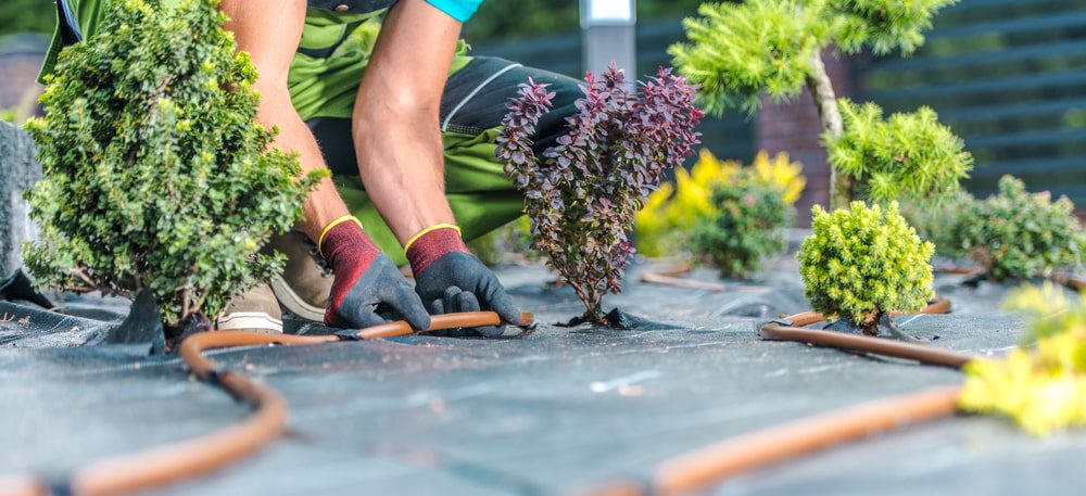 DIY home improvement projects