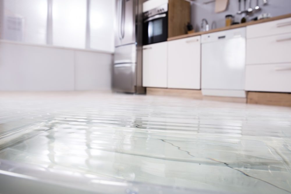 common causes of household leaks