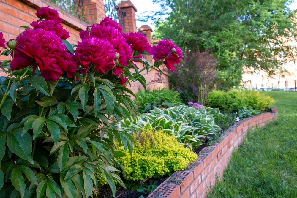 upgrade your backyard space