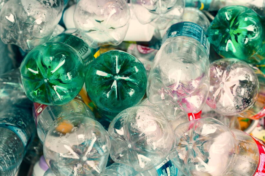 Recycle Plastic Bottle