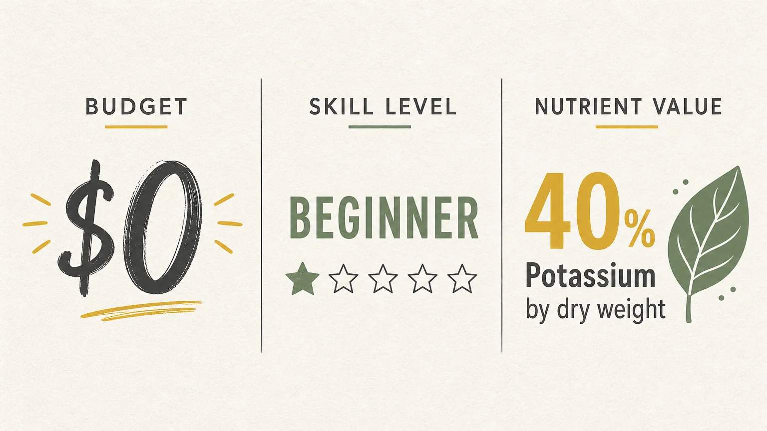 A 16:9 infographic showing a $0 budget, beginner skill level, and 40% potassium content for using banana peels in the garden.