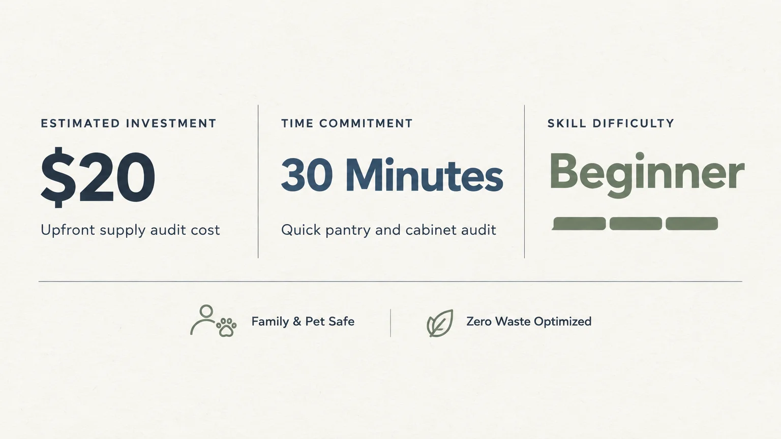 Project snapshot infographic showing $20 estimated investment, 30 minutes time commitment, and beginner skill difficulty.